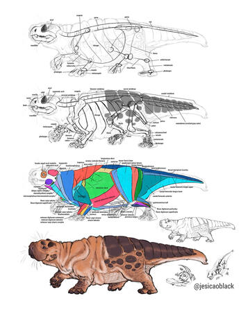 Creature Exploration